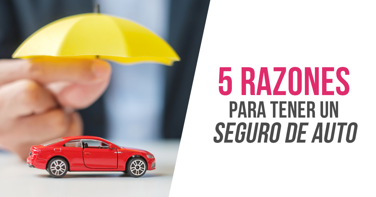 5 Razones para Tener un Seguro de Auto